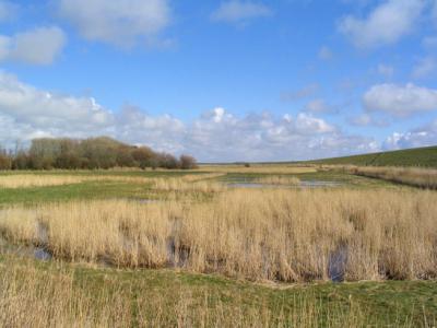 Deichlandschaft